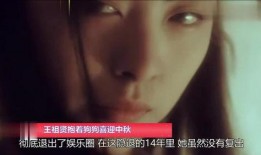 偷月情2在线观看51,51在线观看，激情续集即将来袭！
